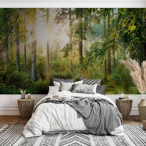 Vista 63 de artgeist Mural de pared premium Bosque púrpura, 79 x 55 pulgadas, papel tapiz no tejido, decoración de pared de vellón, impresión fotográfica