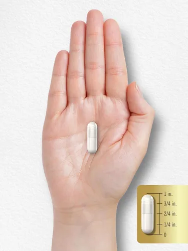 Vista 8 de Carlyle L-Arginina L-Citrulina Suplemento 2250 mg 240 cápsulas en polvo Precursores de óxido nítrico Forma libre Sin OMG y sin gluten
