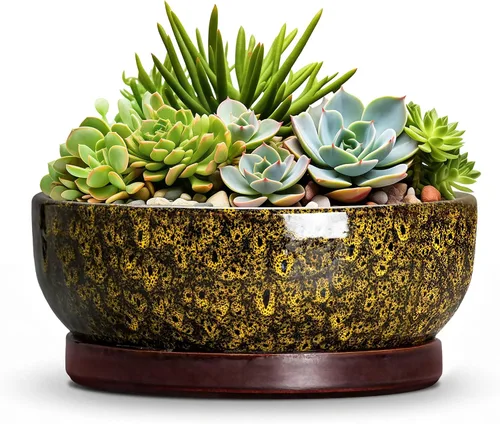 Vista 10 de Succulent Pots, 6 Inch Ceramic Bonsai Pots with Saucer, Blue