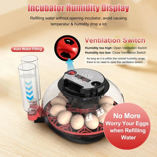 Vista 3 de Incubadora de 12 huevos con control de temperatura, pantalla de humedad, girador automático de huevos y vela, recarga automática de botella de agua