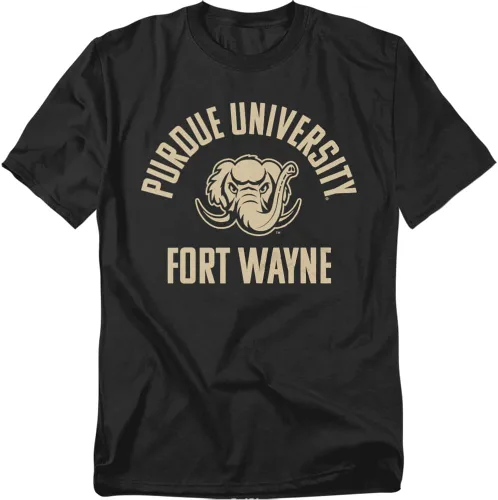 Vista 117 de LOGOVISION Official Collegiate One Color Distressed Logo Short Sleeve for Men & Women T Shirt Collection 3