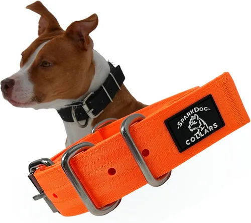 Vista 16 de SparkDog - Collar de perro resistente de 1.5 pulgadas, correa ajustable de grado de cinturón de seguridad con herrajes de acero inoxidable