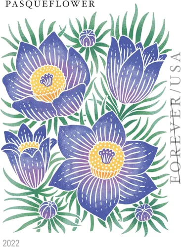 Vista 3 de Sellos postales Mountain Flora Flower US First Class Forever - Celebran la belleza, perfectos para bodas (1 bobina/rollo de 100)