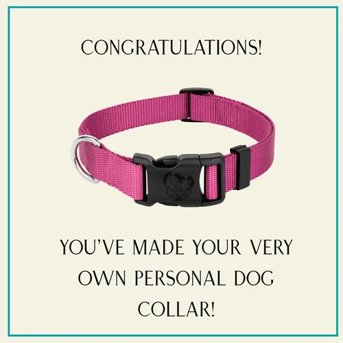 Vista 5 de Country Brook Design - El kit de collar de perro fácil de hacer (10) collares de 1 pulgada
