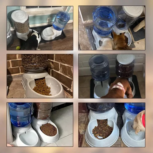 Vista 7 de Comederos automáticos para perros, dispensador de alimentos por gravedad de 3 galones para perros grandes, comedero automático para perros de razas