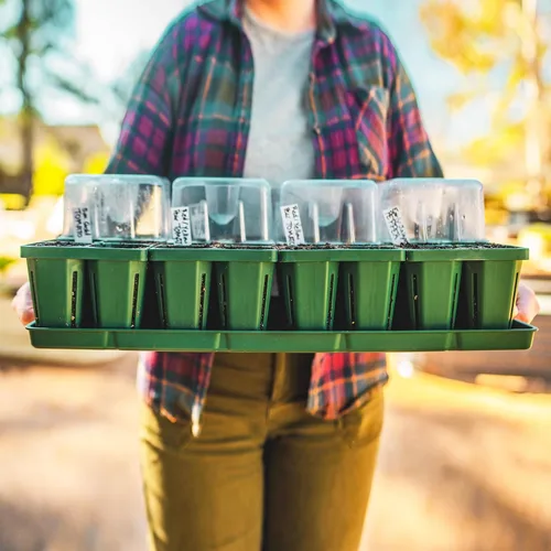 Vista 6 de Vego garden Seedling Suite Products, paquete de 8 bandejas de plántulas jumbo con tapas de bandeja de plántulas y bandejas de riego inferiores de 10