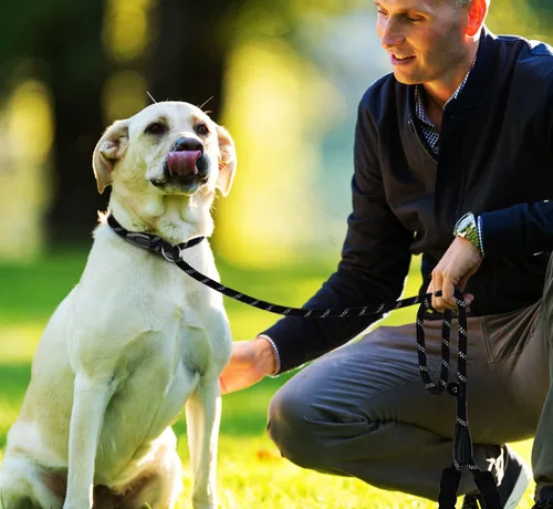 Vista 7 de Correa para perro de 3.9 pies, duradera, de alta calidad, resistente, con mango acolchado cómodo e hilos altamente reflectantes para perros Negro