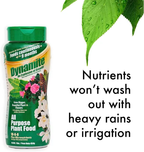 Vista 5 de Dynamite 605951 Alimento multiusos para plantas de interior y exterior, 1 libra