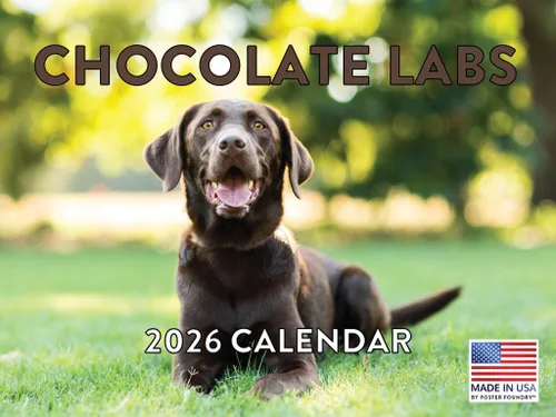 Vista 93 de Calendario mensual de pared Airedale Terrier Dog 2027