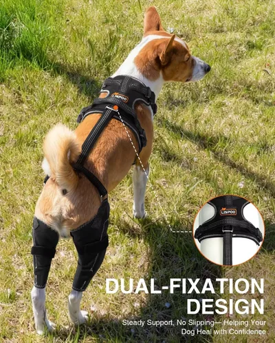 Vista 3 de Rodillera para Perro para ACL/CCL Desgarrado Pata Trasera, Soporte Ajustable con Suficiente Envoltura y Soporte y Luxación de Rótula, Soporte