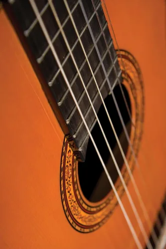 Vista 3 de Washburn Clásico C5, Guitarra Acústica