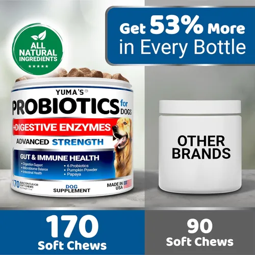 Vista 5 de Probióticos para perros y enzimas digestivas – 170 probióticos masticables para perros – Probiótico para perros – Anti diarrea, malestar estomacal