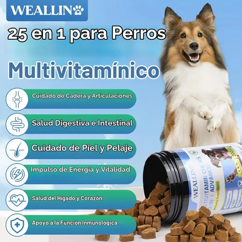Vista 2 de Vitaminas y suplementos para perros con probióticos de glucosamina 200ct de El multivitamínico para perros es ingredientes de grado humano