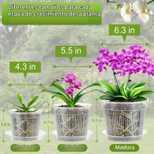 Vista 3 de Macetas transparentes para orquídeas con agujeros de drenaje, paquete de 12