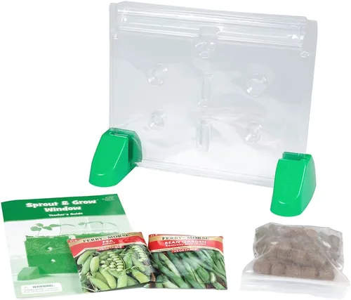 Vista 5 de Ventana Educational Insights, Sprout & Grow Window
