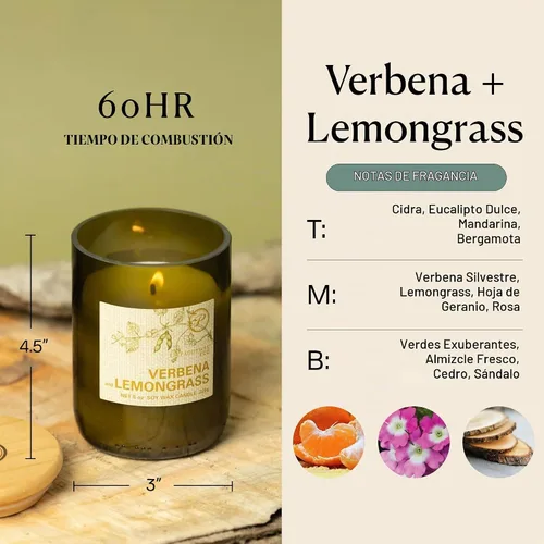 Vista 3 de Paddywax Eco Collection - Vela perfumada en tarro de cera de soja, 8 onzas, verbena y citronela Verbena y limoncillo
