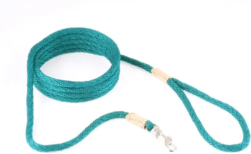 Vista 242 de Alvalley Correa para perros estilo broche – Correa de nailon estilo broche para perros – Fácil de manejar – Perfecto para perros pequeños, medianos