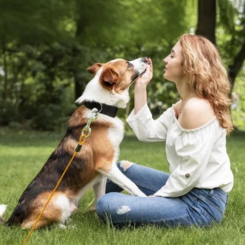 Vista 7 de Correa de perro resistente, correa de metal a prueba de mordidas para perros grandes (hasta 250 libras), correas de alambre para perros con agarre