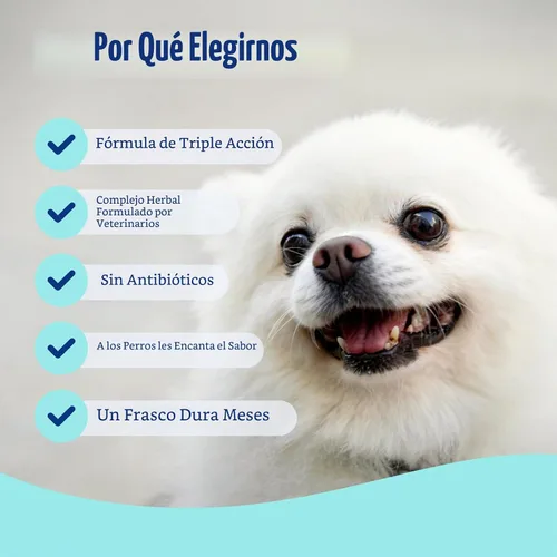Vista 4 de Masticables de apoyo a las manchas de lágrimas para perros, salud ocular y suplemento inmunológico