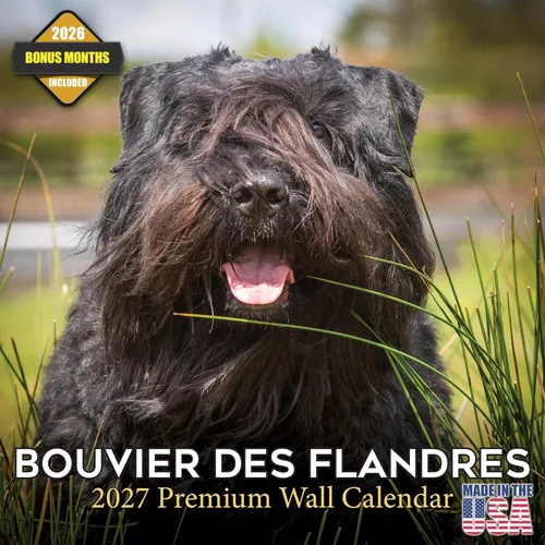 Vista 122 de Calendario de Lebrel Afgano 2025 2026, calendario mensual de pared de raza canina, 12" x 18" abierto, papel grueso sin traspaso, ideal para regalo