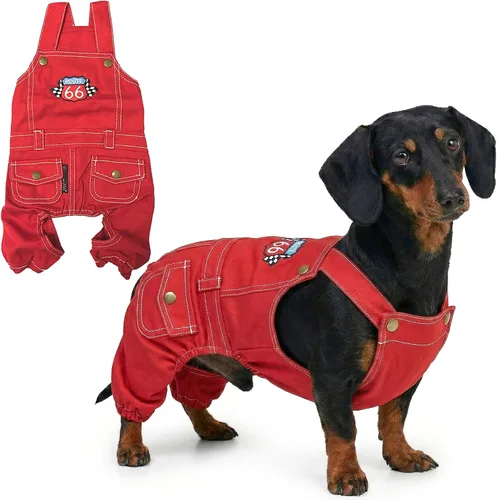 Vista 41 de Parisian Pet Camisa para perro de Amazonia - Ropa de algodón para perros pequeños - Elegante traje tropical para perros - Ropa ligera y suave