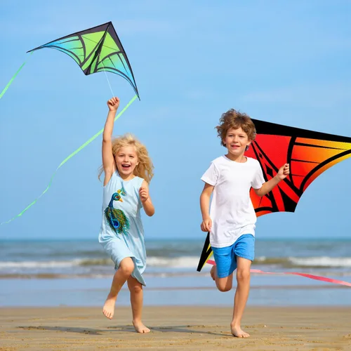 Vista 7 de Cometa Delta grande para niños y adultos, cometas al aire libre fáciles de volar para niños de 8 a 10 años, perfecta para actividades en la playa