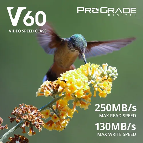 Vista 2 de Tarjeta SD UHS-II de 128 GB V60 – Velocidad de escritura de hasta 130 MB/s y velocidad de lectura de 250 MB/s para vloggers profesionales