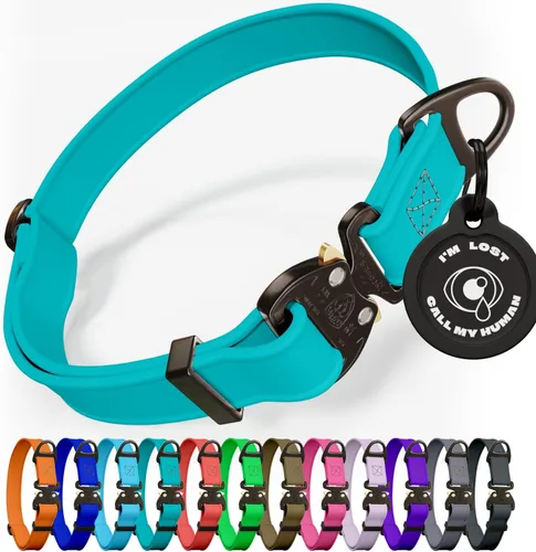 Vista 19 de Biothane - Collar de perro con hebilla de cobra, fabricado en Estados Unidos, etiqueta de identificación con código QR incluida, collares de perro