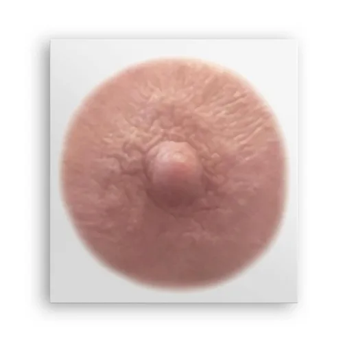 Vista 10 de TataTattoos - Tatuajes temporales realistas para pezón/areola, no quirúrgicos para recuperación de mastectomía, para postcirugía de cáncer de mama