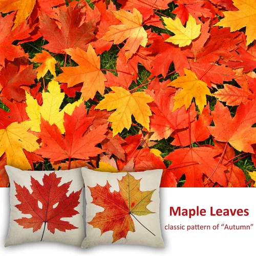 Vista 2 de Coitak Fundas de almohada de otoño, fundas de almohada de hojas de arce, fundas de almohada decorativas de otoño de 18 pulgadas, paquete de 2 fundas