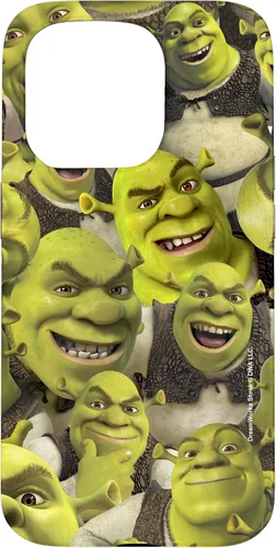 Vista 14 de Funda para iPhone 16 Shrek Group Shot Faces