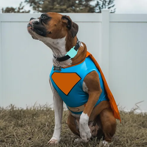 Vista 2 de Soporte de silicona para collar de perro para Tile Pro 2020 y 2018, paquete de 2 fundas protectoras para mascotas, perros y gatos (negro/verde menta)
