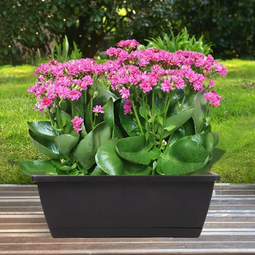 Vista 3 de 8 maceteros de ventana, cajas de flores para ventana de 17 pulgadas, maceteros rectangulares con agujeros de drenaje y bandejas, macetas de plástico