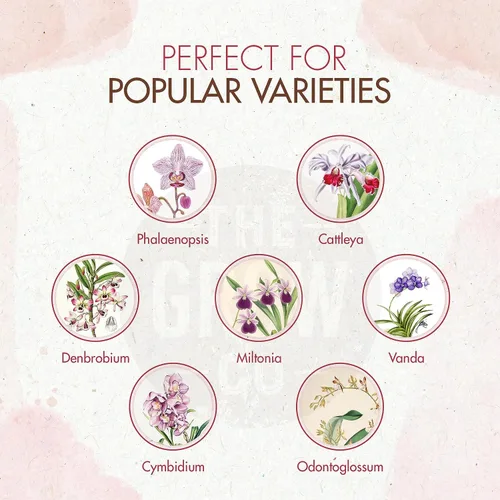 Vista 2 de Alimento para plantas de orquídeas (5 oz, más de 50 aplicaciones) – Gránulos de fertilizante estimulante de floración para orquídeas en macetas