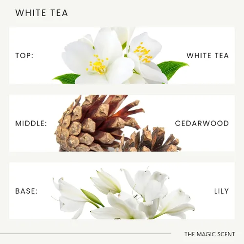 Vista 6 de The Magic Scent Aceite difusor de té blanco – Aromas de lujo para hotel y hogar – Difusor de aromas de aceite para el hogar diseñado para su uso
