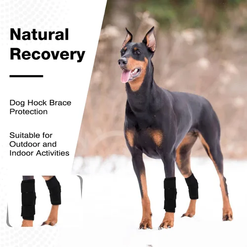 Vista 5 de ROZKITCH Protector de patas de perro para articulación trasera de corvejón o rodilla de pierna delantera, 1 par de mangas de compresión de piernas