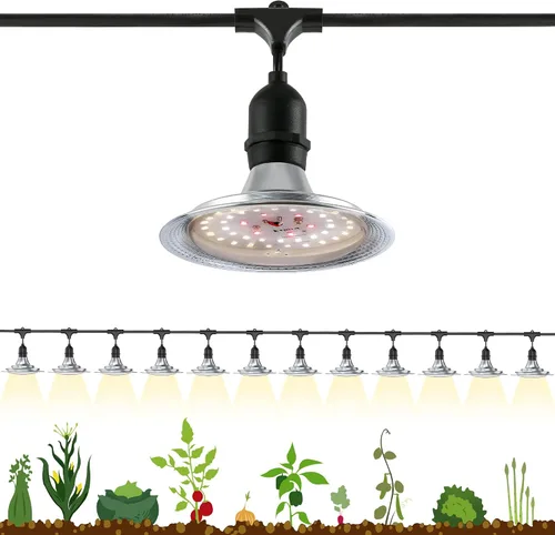 Vista 11 de Luz LED de cultivo para exteriores con temporizador, tira de luz de crecimiento de espectro completo de 6 bombillas, lámparas de plantas