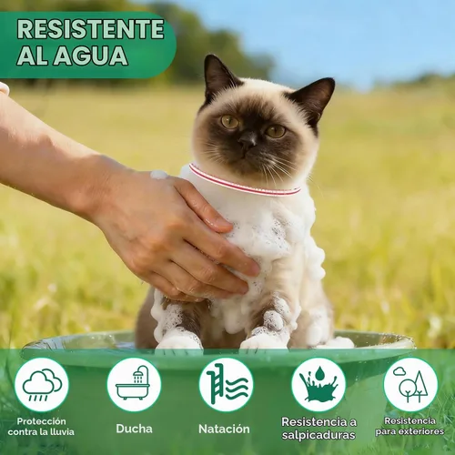Vista 6 de Collar antipulgas para gatos, tratamiento de pulgas y garrapatas de gato