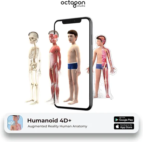 Vista 3 de Octagon Studio Tarjetas 4D humanoides para aprendizaje STEM en casa