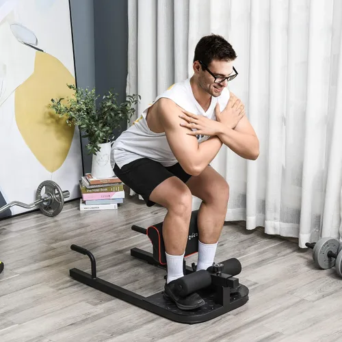 Vista 2 de Soozier 3-in-1 Padded Push Up Sit Up Deep Sissy Squat Machine Home Gym Fitness Equipment