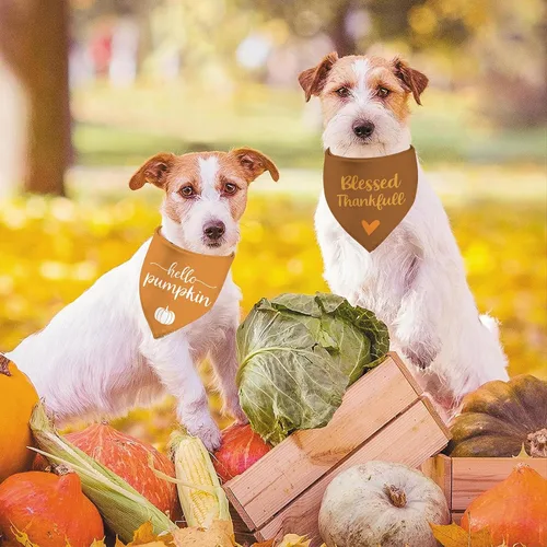 Vista 7 de Bandanas de Acción de Gracias para perro, bufanda para cachorro, trajes de otoño de Hello Pumpkin - 2 bandanas ajustables triangulares de doble capa