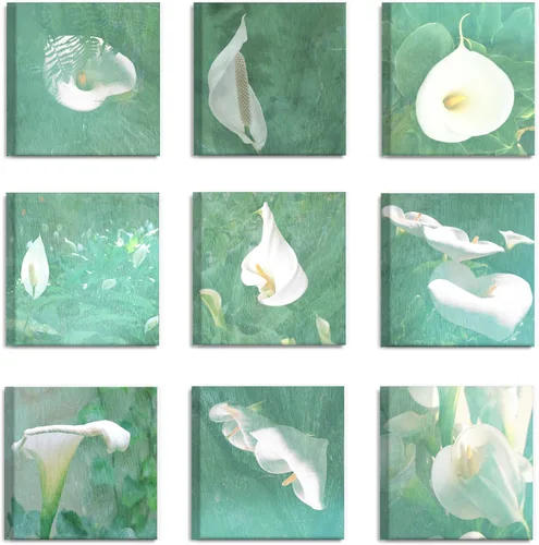 Vista 2 de The Stupell Home Décor Collection - Juego de 9 piezas de arte de pared de lirios de Cala verde primavera