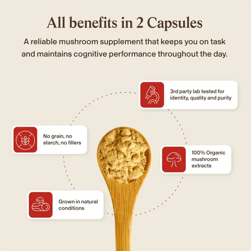 Vista 8 de Real Mushrooms RealClarity Cápsulas – Melena de León, KSM-66 Ashwagandha, Rhodiola y Bacopa – Agudeza mental, alerta y apoyo adaptogénico – Vegano
