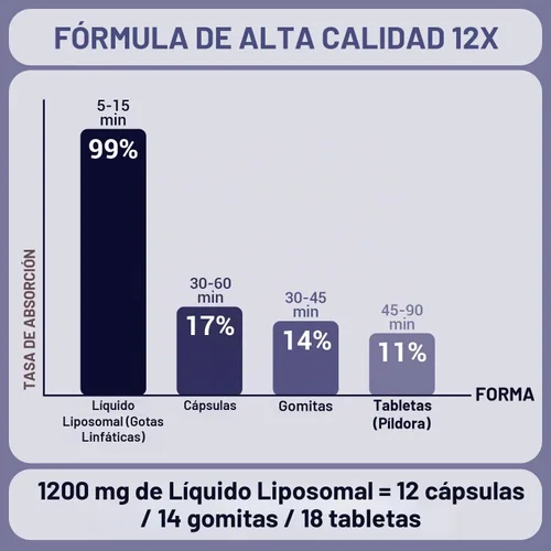 Vista 4 de Gotas de drenaje linfático de 2 fl oz (2.0 fl oz), mezcla natural con saúco, raíz de bardana, diente de león y equinácea Herbal Support