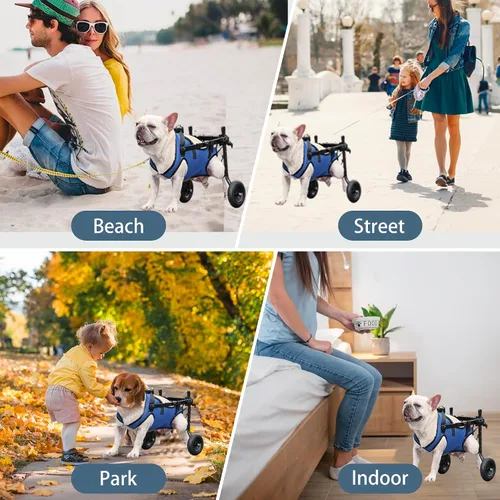 Vista 7 de Silla de ruedas ajustable para perro, scooter ligero para patas traseras, perros con un máximo de 22 libras, silla de ruedas para perros