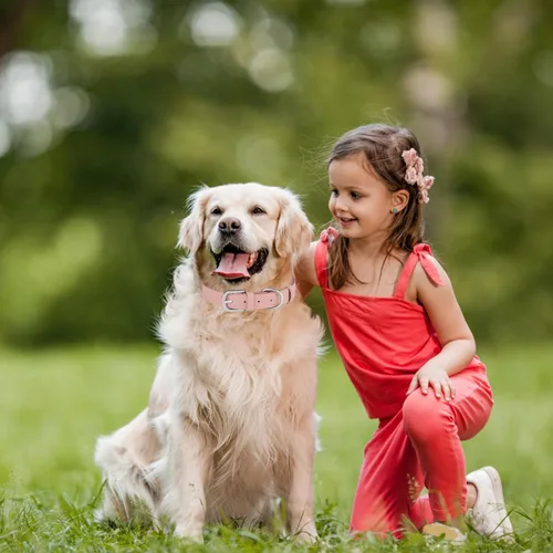 Vista 3 de Collar de cuero para perro pequeño, mediano y grande, ajustable, impermeable, con hebilla de aleación, resistente para cachorros y gatitos