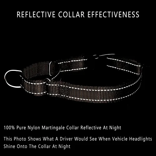 Vista 4 de Collar reflectante de martingala de Plutus Pet con hebilla - Collar de entrenamiento duradero y ajustable para evitar tirones, collar de gargantilla