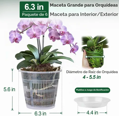 Vista 2 de T4U Clear Orchid Pots 6.3 Inch 6 Pack, Orchid Pot with Holes Repotting