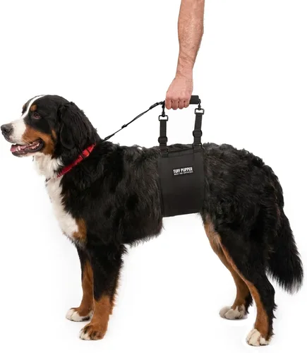 Vista 11 de Tuff Pupper Arnés de cadera para perros Soporte de elevación trasera para perros mayores y lesionados Ayuda de movilidad ajustable Mango