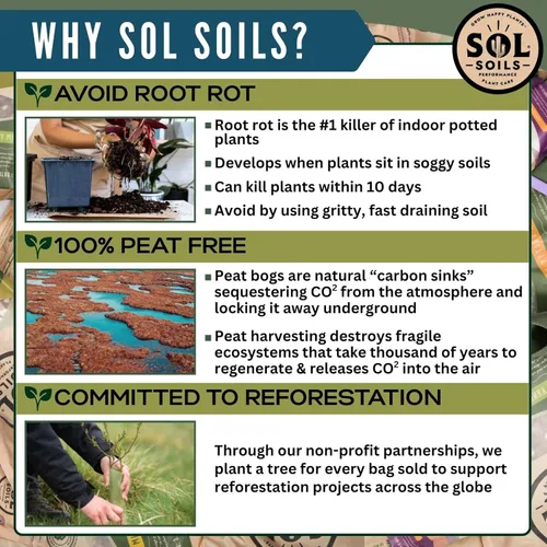 Vista 6 de Sol Soils Perlita gruesa para plantas, enmienda ligera y totalmente natural de suelo de vidrio volcánico para mejorar el drenaje y la aireación, 2